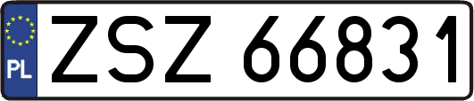 ZSZ66831