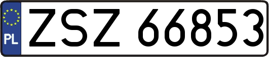 ZSZ66853