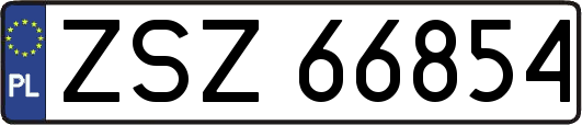ZSZ66854