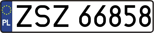 ZSZ66858