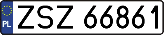 ZSZ66861