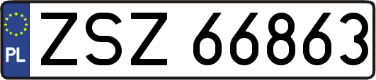 ZSZ66863