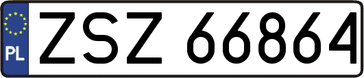 ZSZ66864