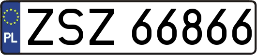 ZSZ66866