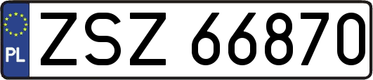 ZSZ66870