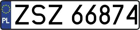 ZSZ66874