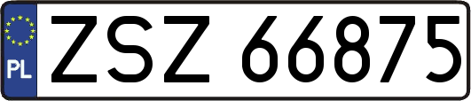 ZSZ66875