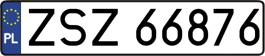 ZSZ66876
