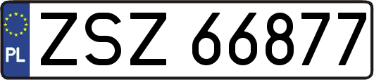 ZSZ66877