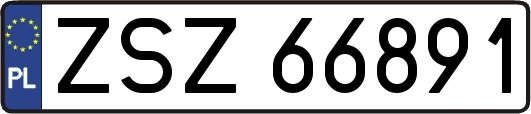 ZSZ66891