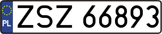 ZSZ66893