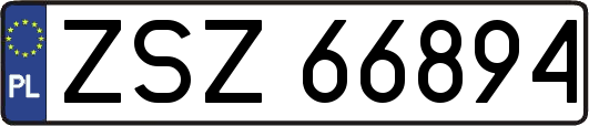 ZSZ66894