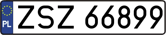 ZSZ66899