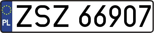 ZSZ66907