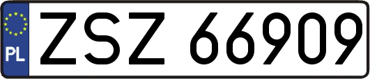 ZSZ66909