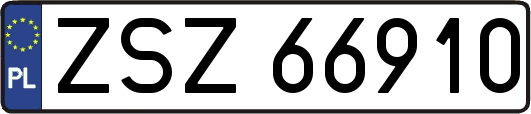 ZSZ66910