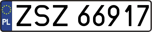 ZSZ66917
