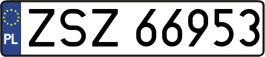 ZSZ66953