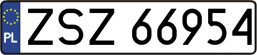 ZSZ66954