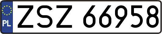 ZSZ66958