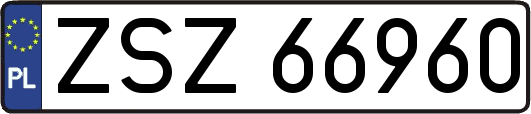 ZSZ66960