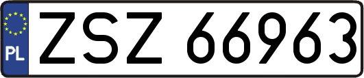 ZSZ66963