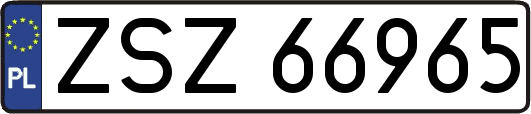 ZSZ66965