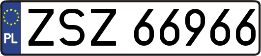 ZSZ66966