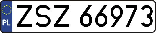 ZSZ66973