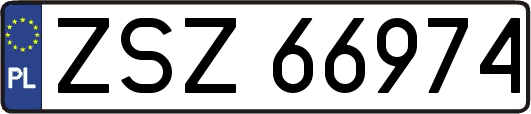 ZSZ66974