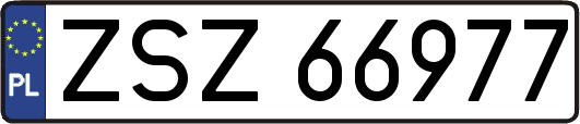 ZSZ66977