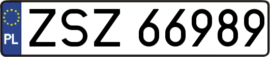 ZSZ66989