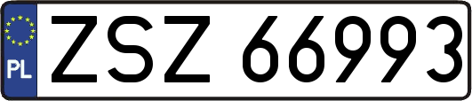 ZSZ66993