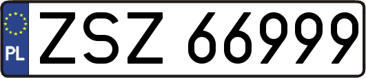 ZSZ66999