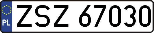 ZSZ67030
