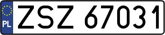 ZSZ67031
