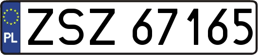 ZSZ67165