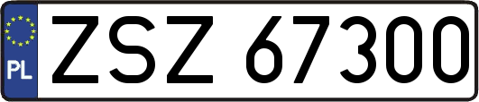 ZSZ67300
