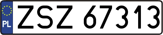 ZSZ67313