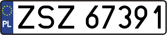ZSZ67391