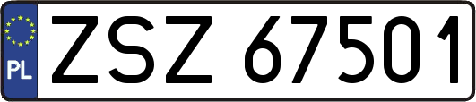 ZSZ67501