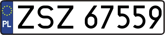 ZSZ67559