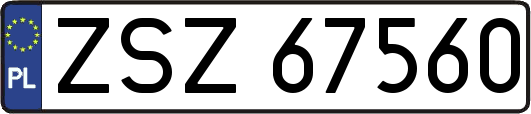ZSZ67560