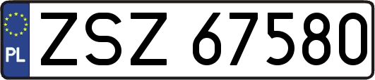 ZSZ67580