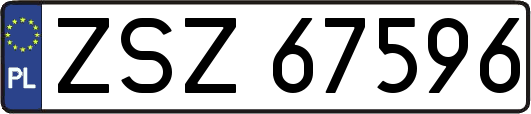 ZSZ67596