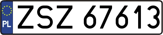 ZSZ67613