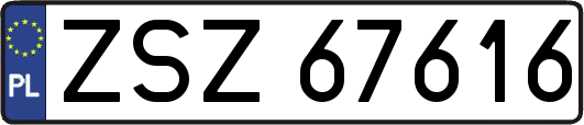 ZSZ67616