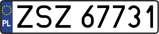 ZSZ67731