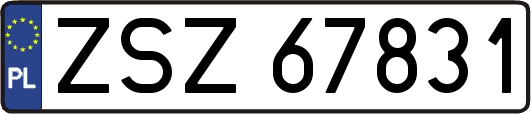 ZSZ67831