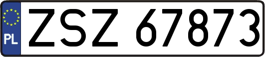 ZSZ67873